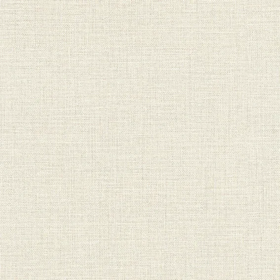 The Basic - White Beige Tone PT.02
