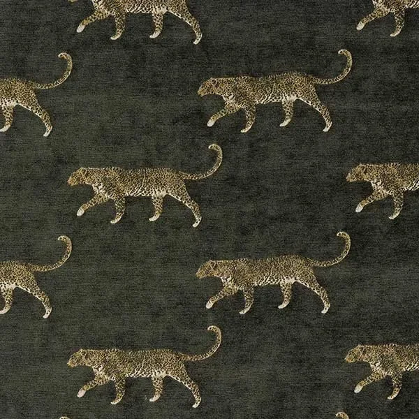 Serengeti Leopard