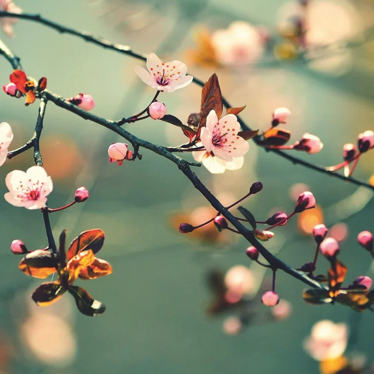 Spring Awakening - Wall Mural 5520 - 4 Panel - 192cm x 260cm — Ảnh 6