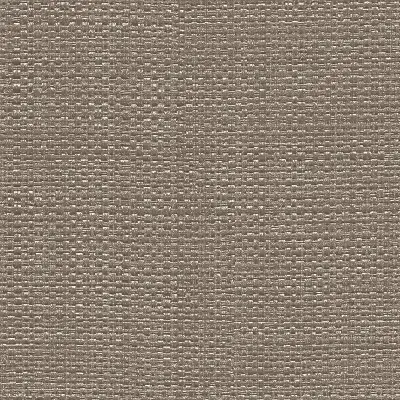 Vinyl Max's Metallic Raffia