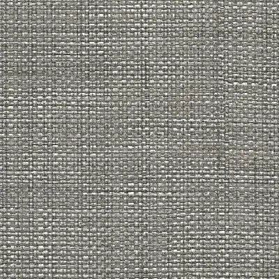 Vinyl Max's Metallic Raffia
