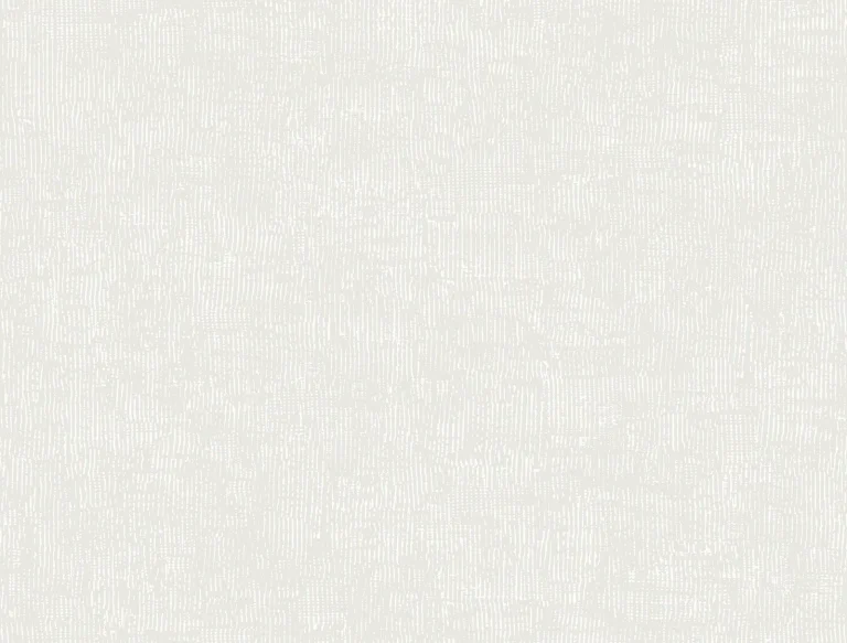 Trabadillo Plaster Wallpaper - Salt — Ảnh 2