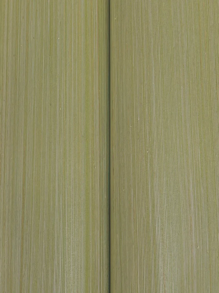 Ronald Redding Smooth Abaca Wallpaper - Moss — Ảnh 5