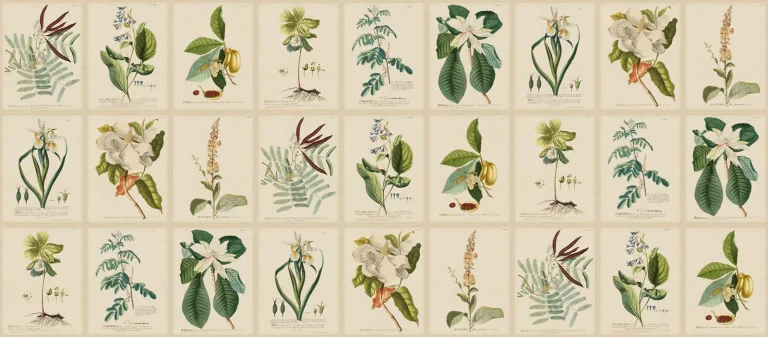 Flora Wallpaper, Green