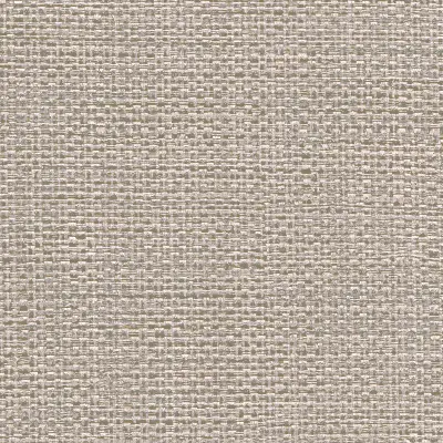 Vinyl Max's Metallic Raffia