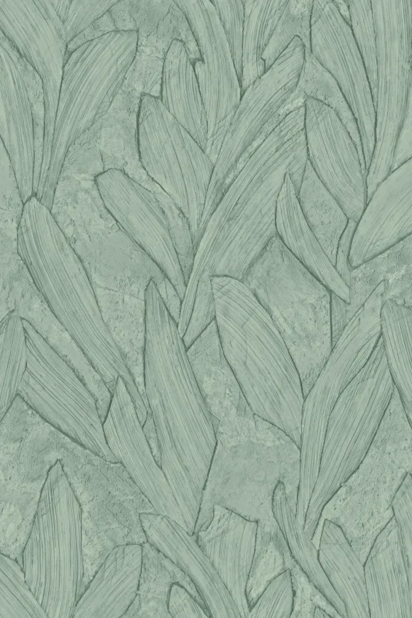 Piante Thyme — Ảnh 2