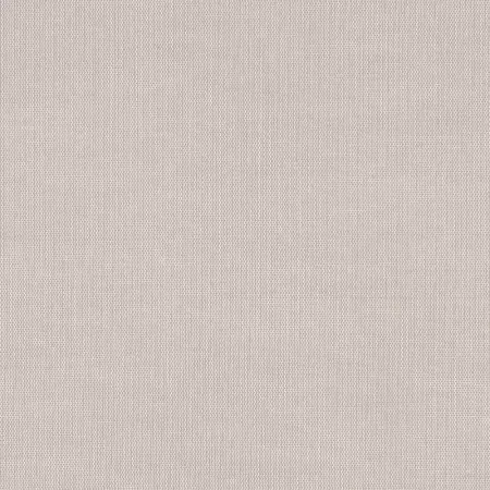 MIST WREN — Ảnh 5