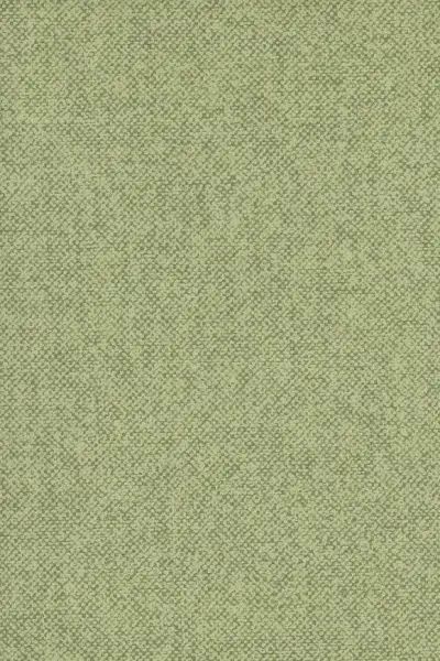 Belgian Linen