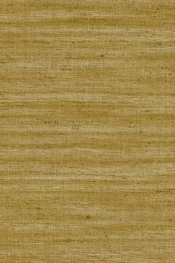 Lignes 40501 — Image 2