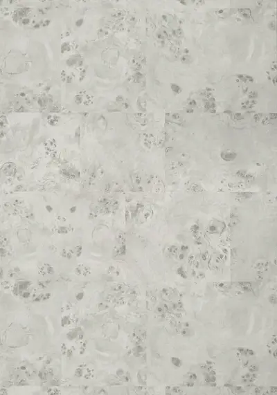 Texture Resource 6 T271