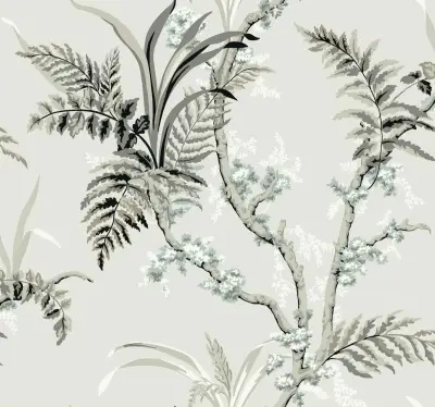 Wild Ferns A00024-01