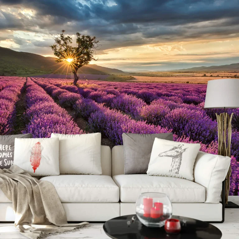 Lavender in the Provence - Wall Mural 5484 - 8 Panel - 384cm x 260cm — Ảnh 2