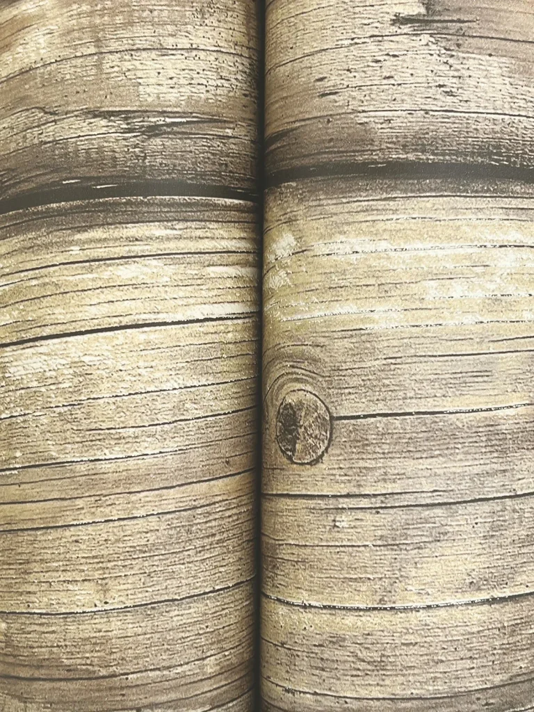 Chesapeake Bunkhouse Wallpaper - Brown — Ảnh 4