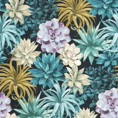 Botanica Echeveria