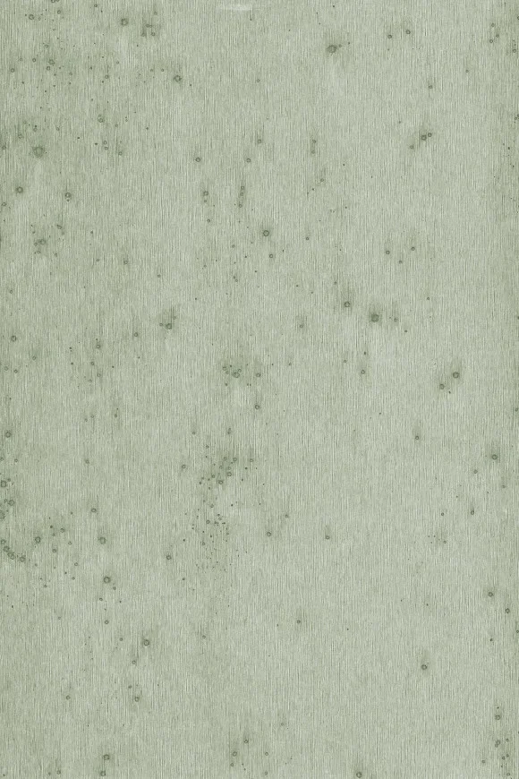 Stellar 37512A — Image 4