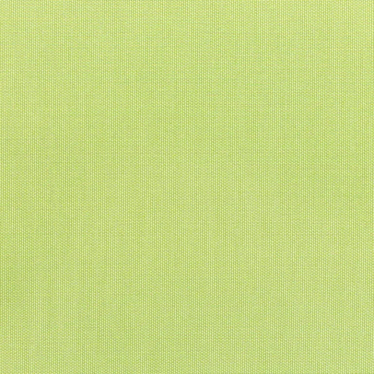 CANVASA PARROT