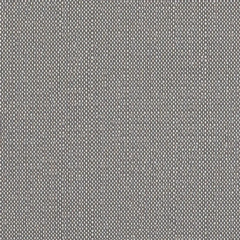SAVANE ZINC