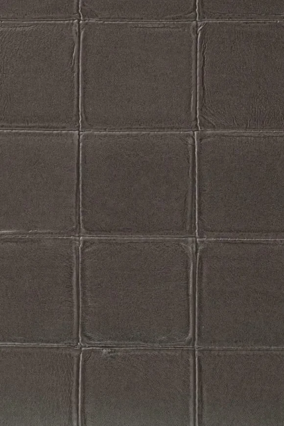 Alma Taupe — Ảnh 2