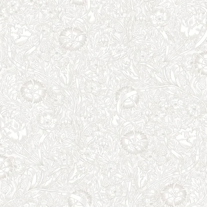 Caroline Sandstone — Ảnh 4