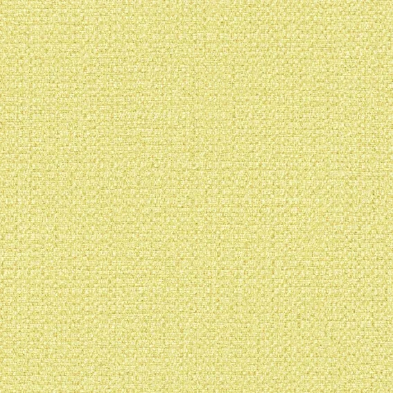 The Basic - Yellow Orange Tone