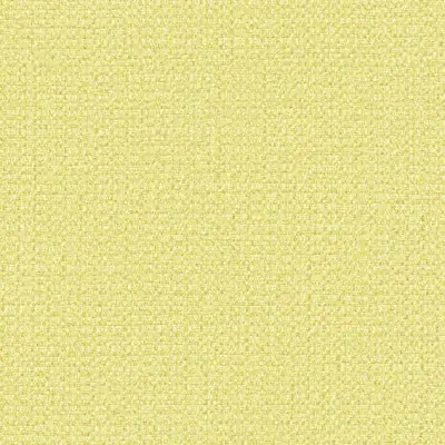 The Basic - Yellow Orange Tone