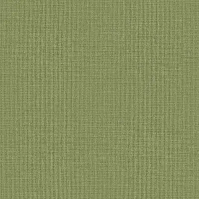 The Basic - Green Tone