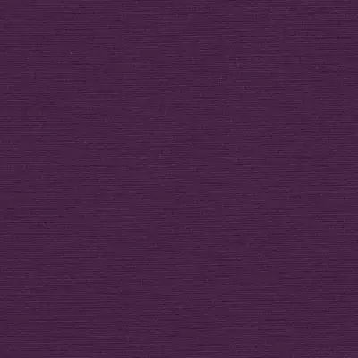 CANVAS PLUM
