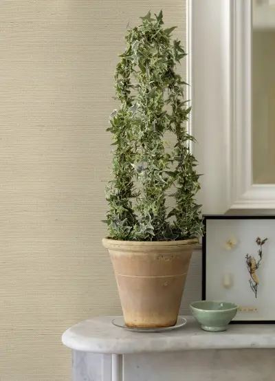 Hetao Wallpaper - Cream