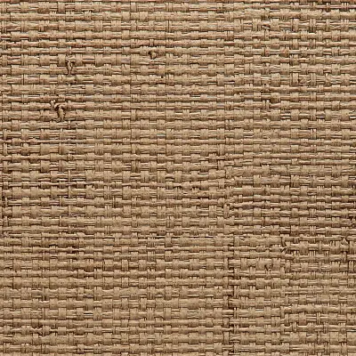 Vinyl Island Raffia
