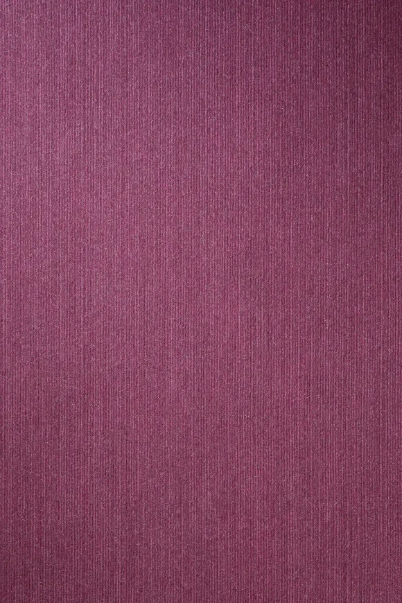 Temper Cabernet - 34516C — Image 2