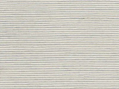 Stripe Sequin Weaving 20020709