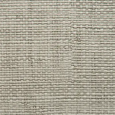 Vinyl Island Raffia