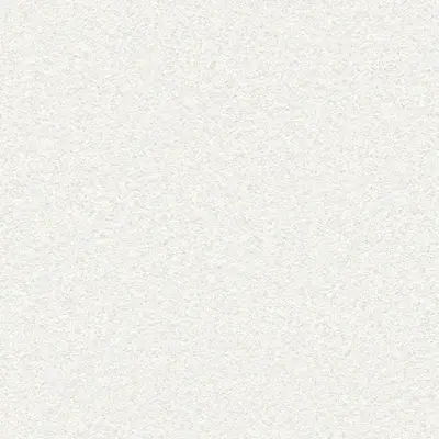 The Basic - White Beige Tone PT.01