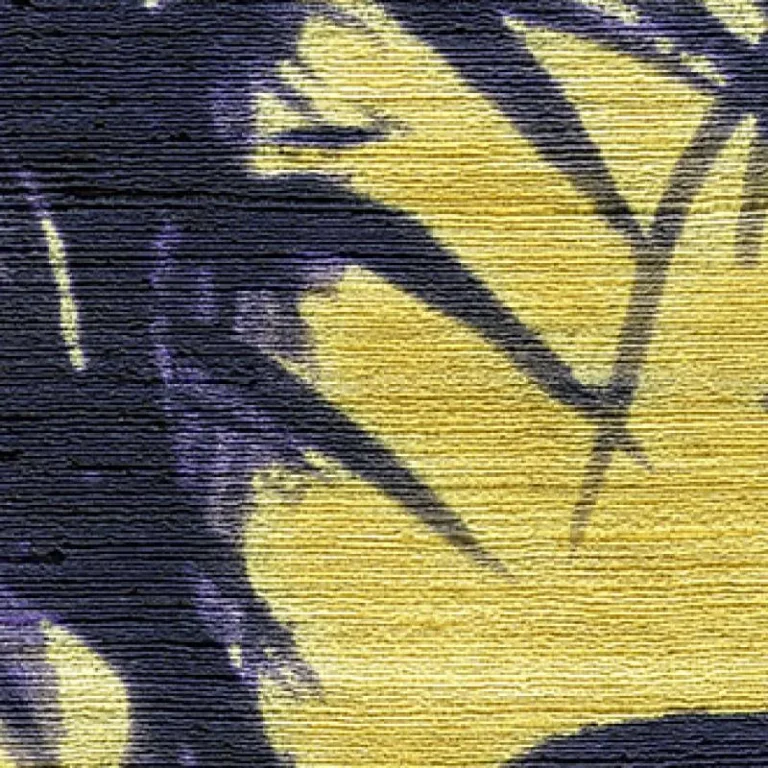 Terra Promessa VP 85 — Image 2