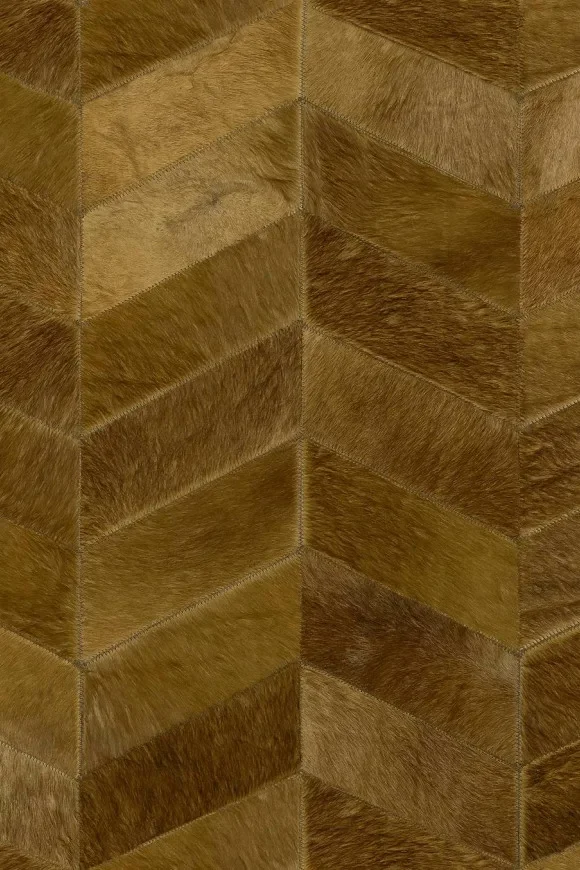 Montage Savanna — Ảnh 2
