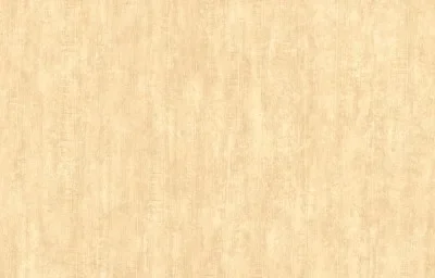 STONE WASH — Ảnh 6