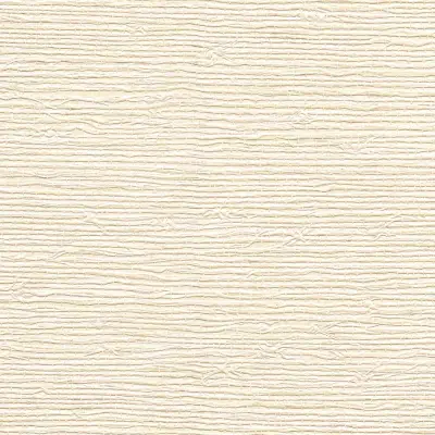 Vinyl Arrowroot