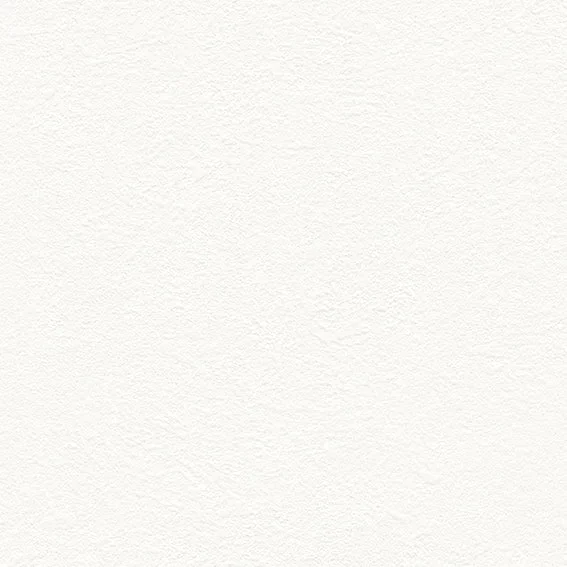 The Basic - White Beige Tone PT.01
