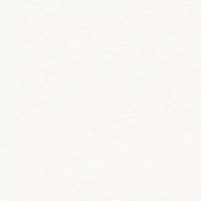 The Basic - White Beige Tone PT.01