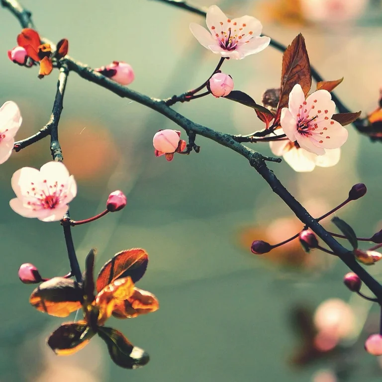 Spring Awakening - Wall Mural 5520 - 4 Panel - 192cm x 260cm — Ảnh 5