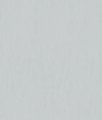 Watered Silk S106 1012 — Ảnh 2