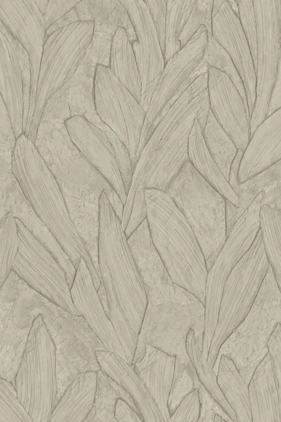 Piante Dauphin — Ảnh 2
