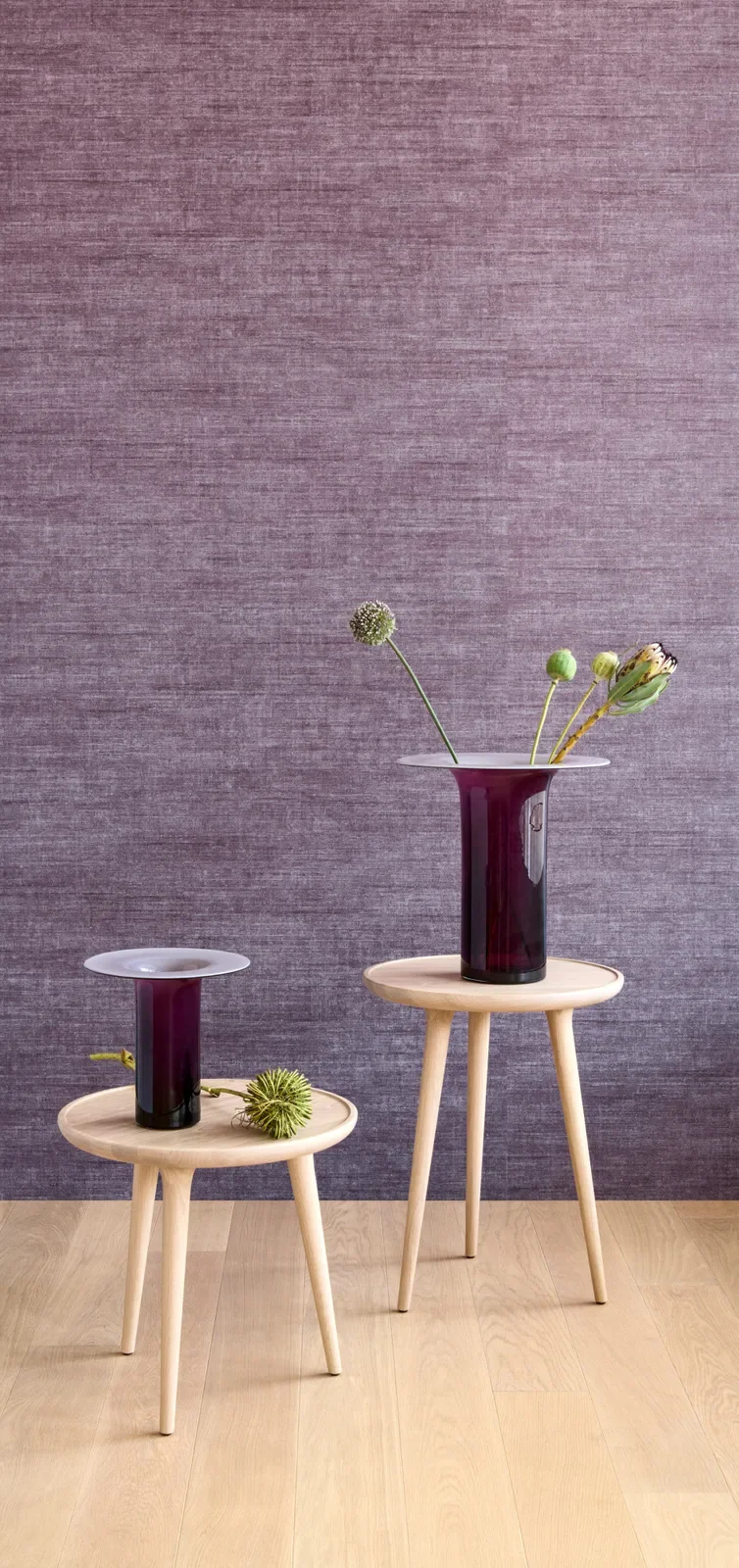 Canvas Lavender — Ảnh 4