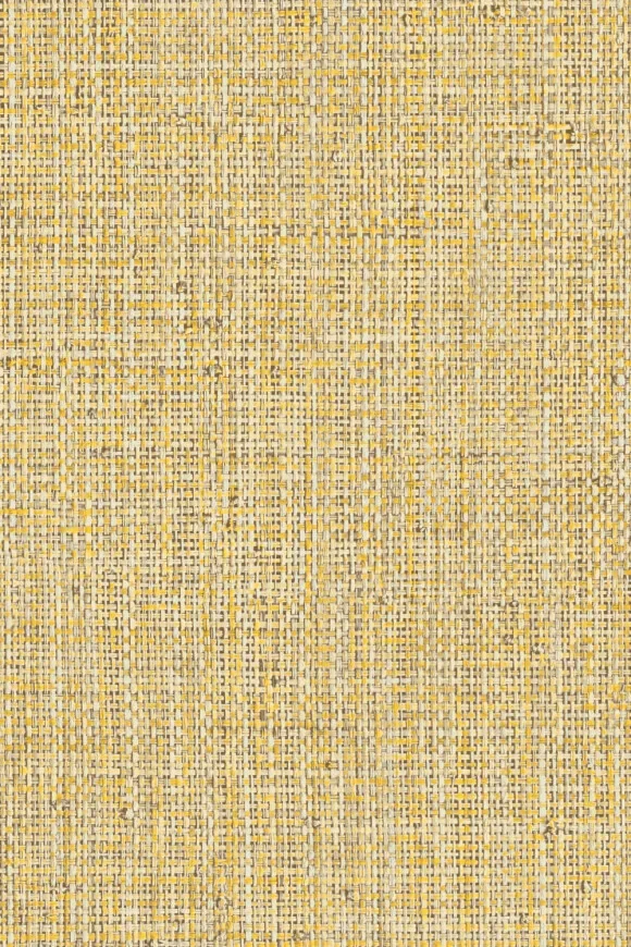 Nongo Malt — Ảnh 2