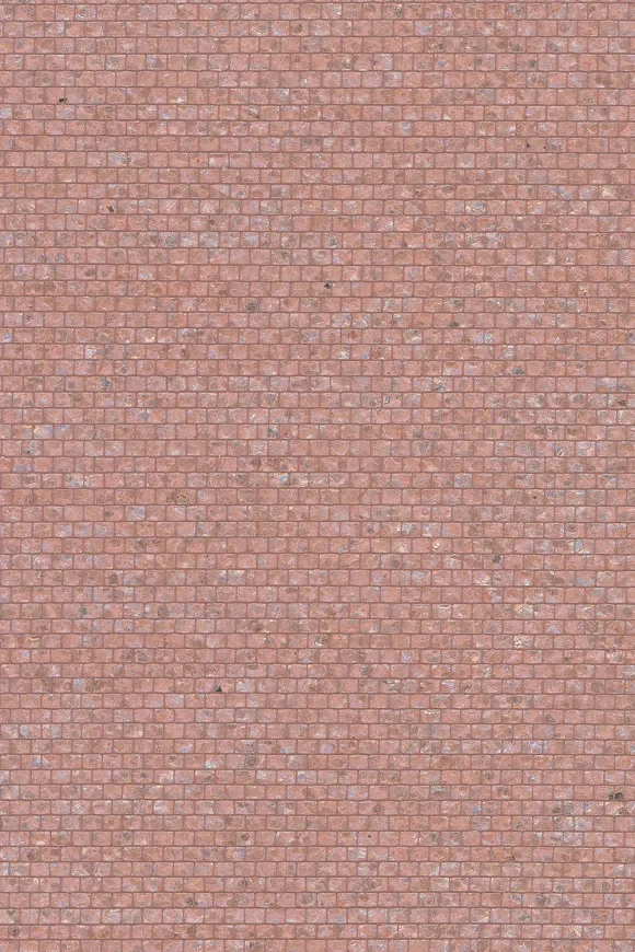 Shimmer Petal — Ảnh 2