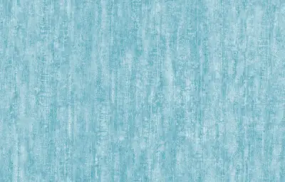 STONE WASH TO218