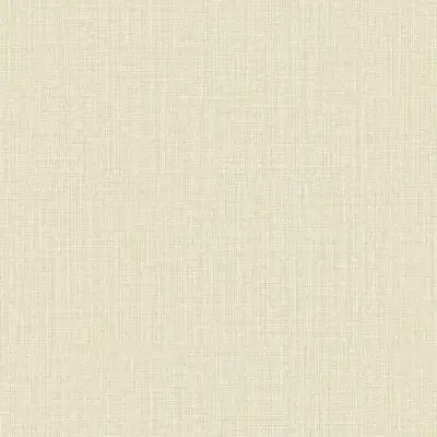 The Basic - White Beige Tone PT.02