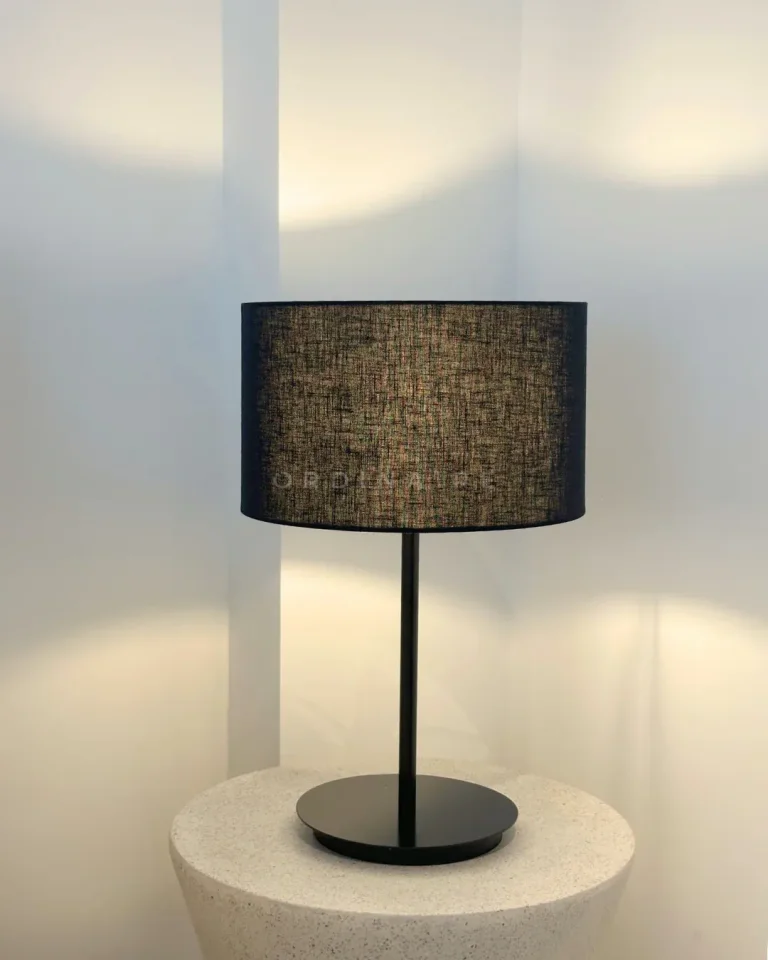 DISC TABLE LAMP — Ảnh 4