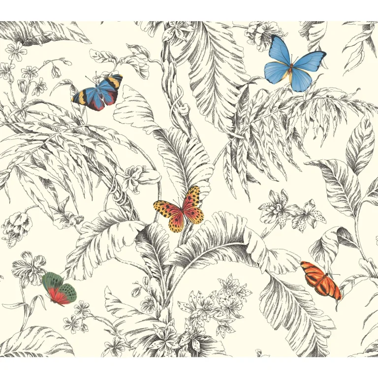 Papillon Wallpaper - Primary — Ảnh 5