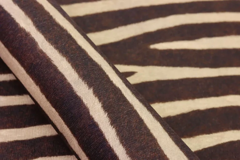 Watch Out for the Zebra Stripes! 751741 — Image 14
